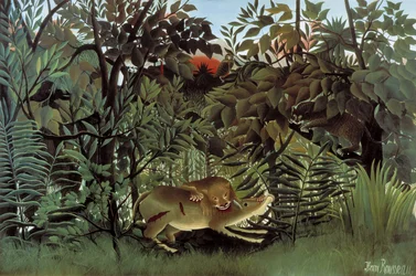 The Hungry Lion Attacking an Antelope
